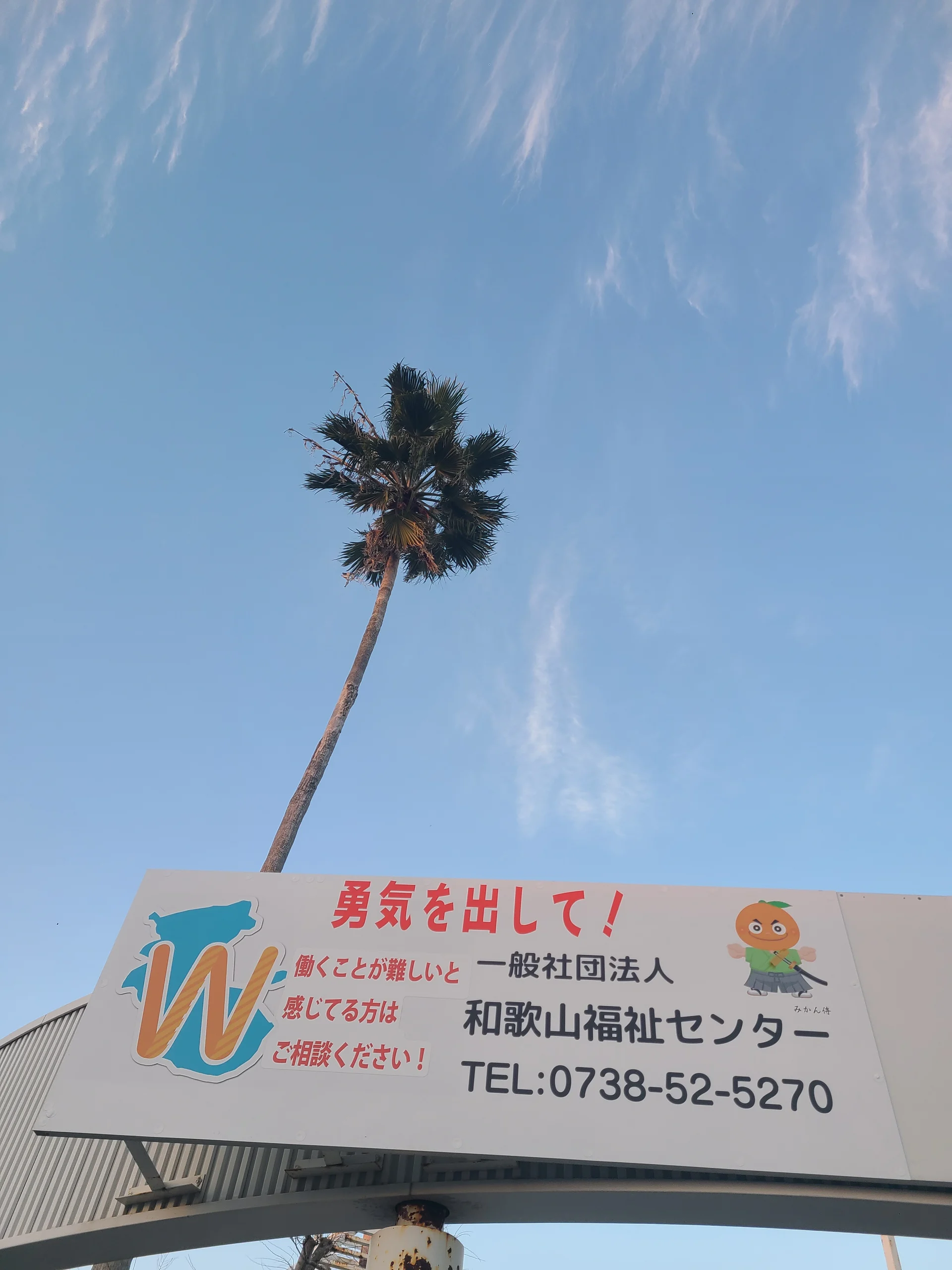 和歌山福祉センターの看板と空に伸びる木